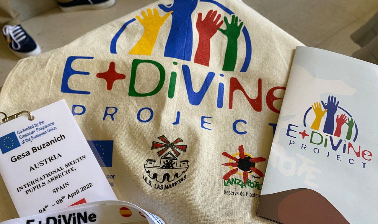 DiViNe – Diversity and Inclusion